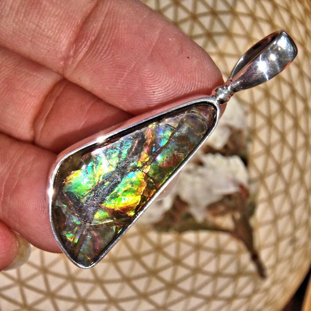Fabulous Rainbow of Colors Ammolite Healing  Pendant in Sterling Silver (Includes Silver Chain) - Earth Family Crystals