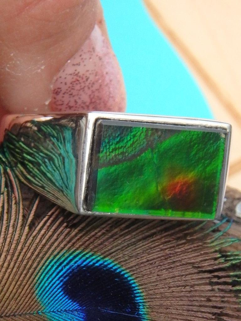 High Flash Canadian Ammolite Ring In Sterling Silver (Size 12) - Earth Family Crystals