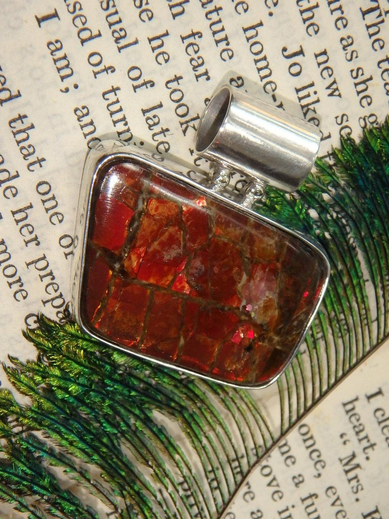 Fire Red Flash! Alberta Ammolite Pendant in Sterling Silver (Includes Silver Chain) - Earth Family Crystals