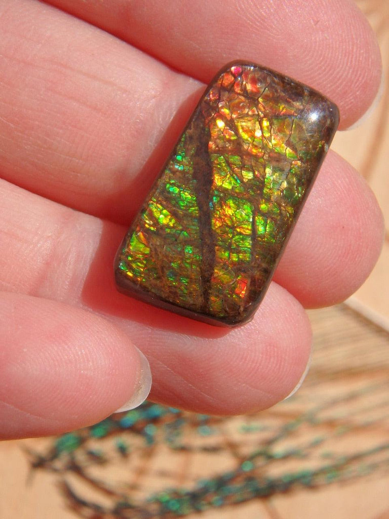 Fantastic Flashes of Color Ammolite Cabochon (Ideal for Wire Wrapping) - Earth Family Crystals