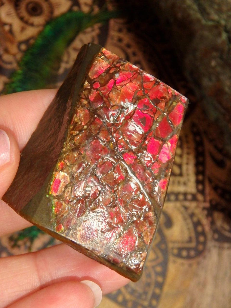 Hand Held Fire Red Alberta Ammolite Specimen - Earth Family Crystals