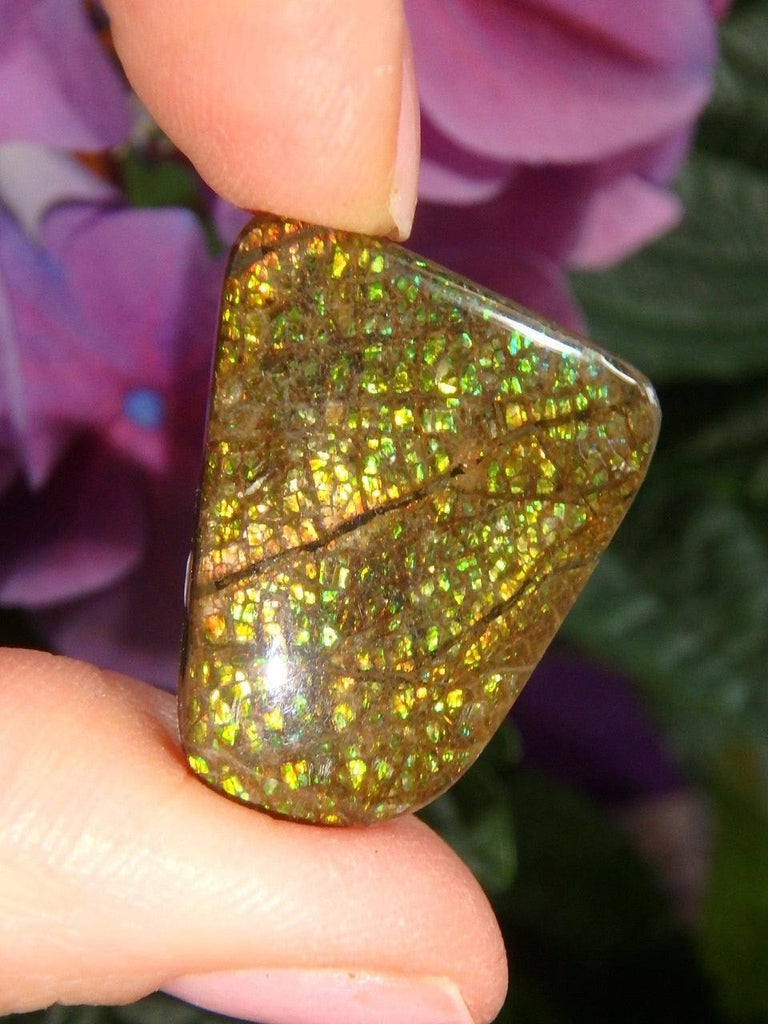 Twinkling Gold Orange & Green Alberta Ammolite Cabochon (Ideal For Wire Wrapping) - Earth Family Crystals