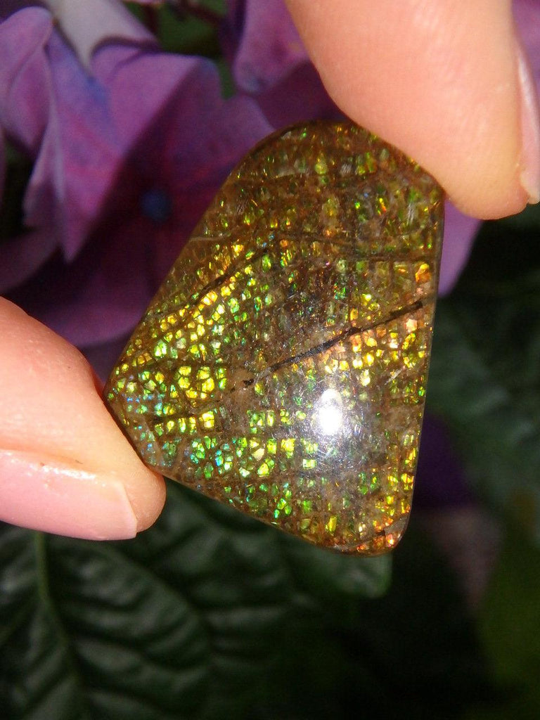 Twinkling Gold Orange & Green Alberta Ammolite Cabochon (Ideal For Wire Wrapping) - Earth Family Crystals