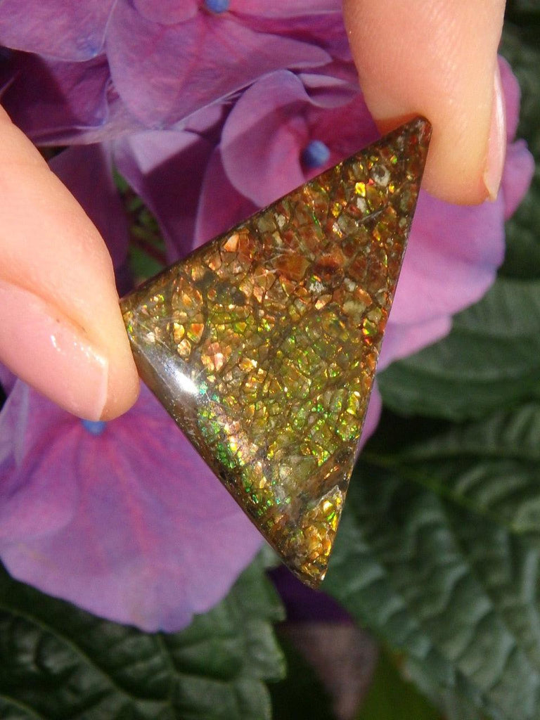 Lovely Rainbow Flash Alberta Ammolite Cabochon (Ideal For Wire Wrapping) - Earth Family Crystals