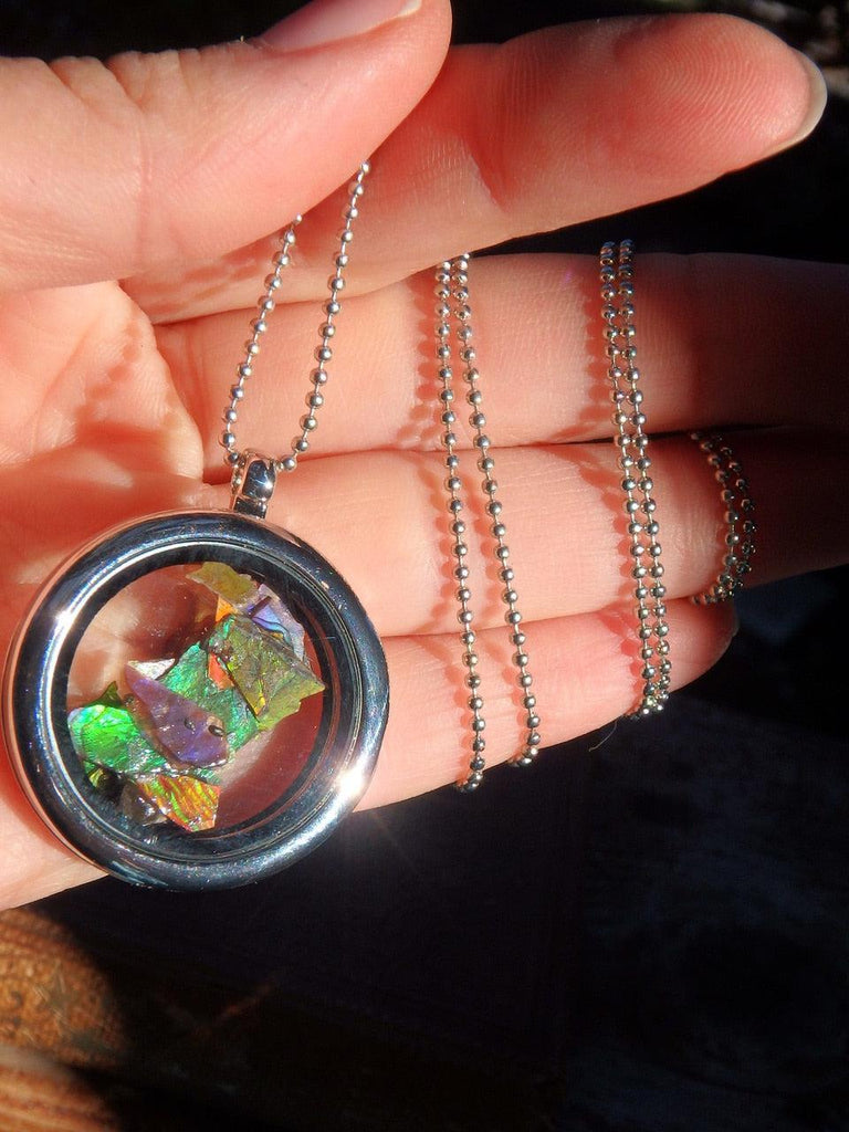 Multi Color Ammolite Free form Floating Pieces in Locket Style Pendant on  26 inch Ball Chain - Earth Family Crystals