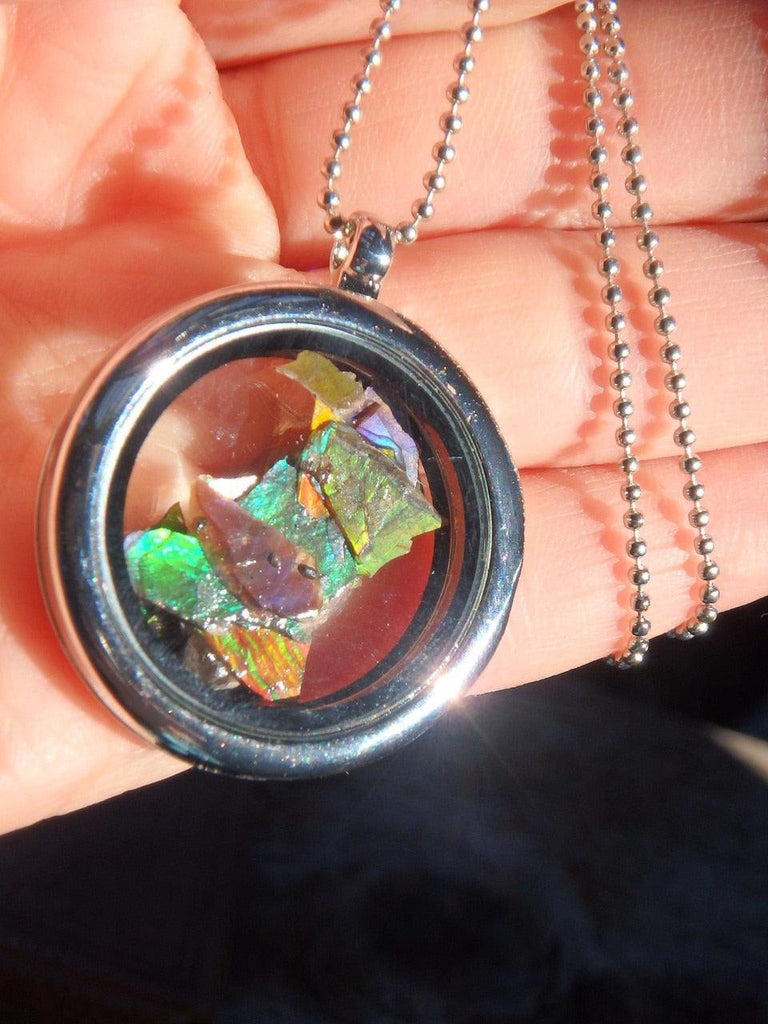 Multi Color Ammolite Free form Floating Pieces in Locket Style Pendant on  26 inch Ball Chain - Earth Family Crystals