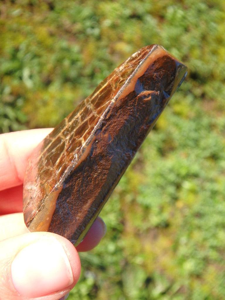 Mega Red Flashes Alberta Ammolite Hand Held Specimen - Earth Family Crystals