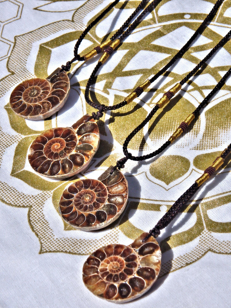 Fantastic Ammonite Fossil Floating Necklace on Adjustable Cord - Earth Family Crystals
