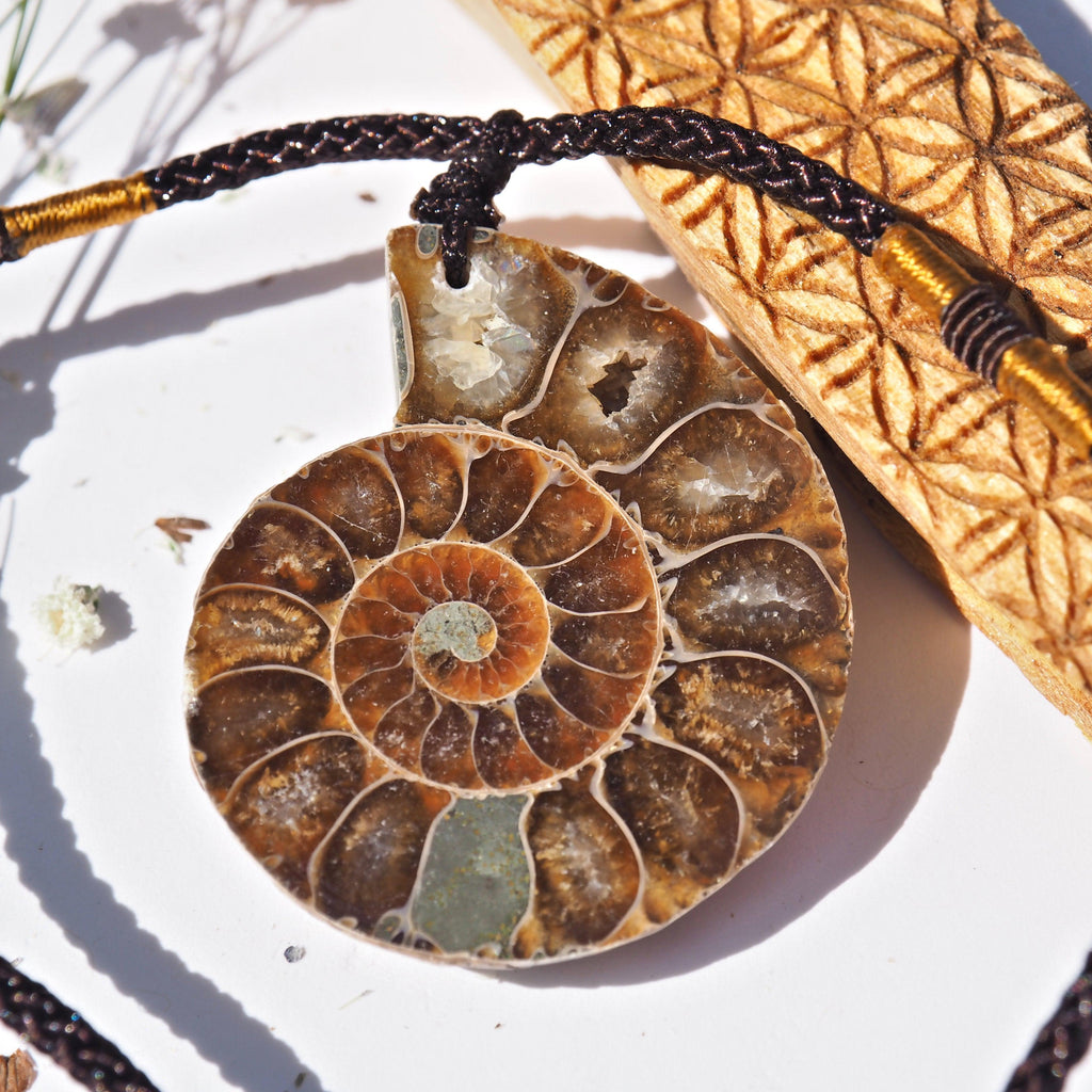 One Partially Polished Ammonite Fossil Slice on Adjustable Cotton Cord - Earth Family Crystals