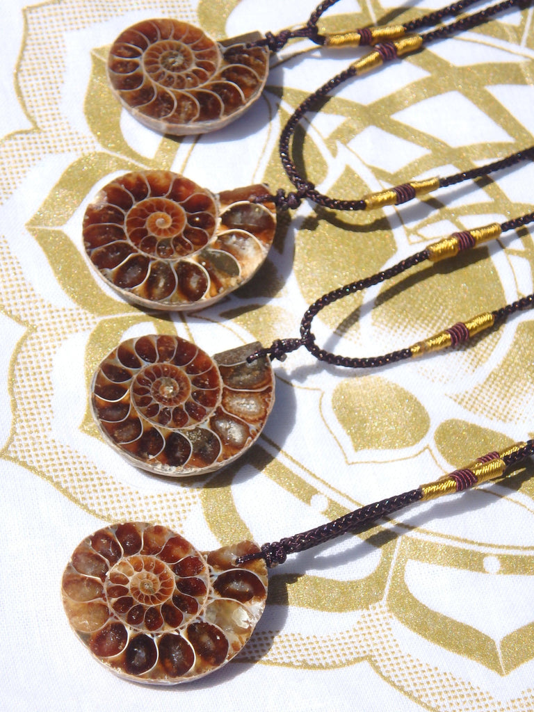 Fantastic Ammonite Fossil Floating Necklace on Adjustable Cord - Earth Family Crystals