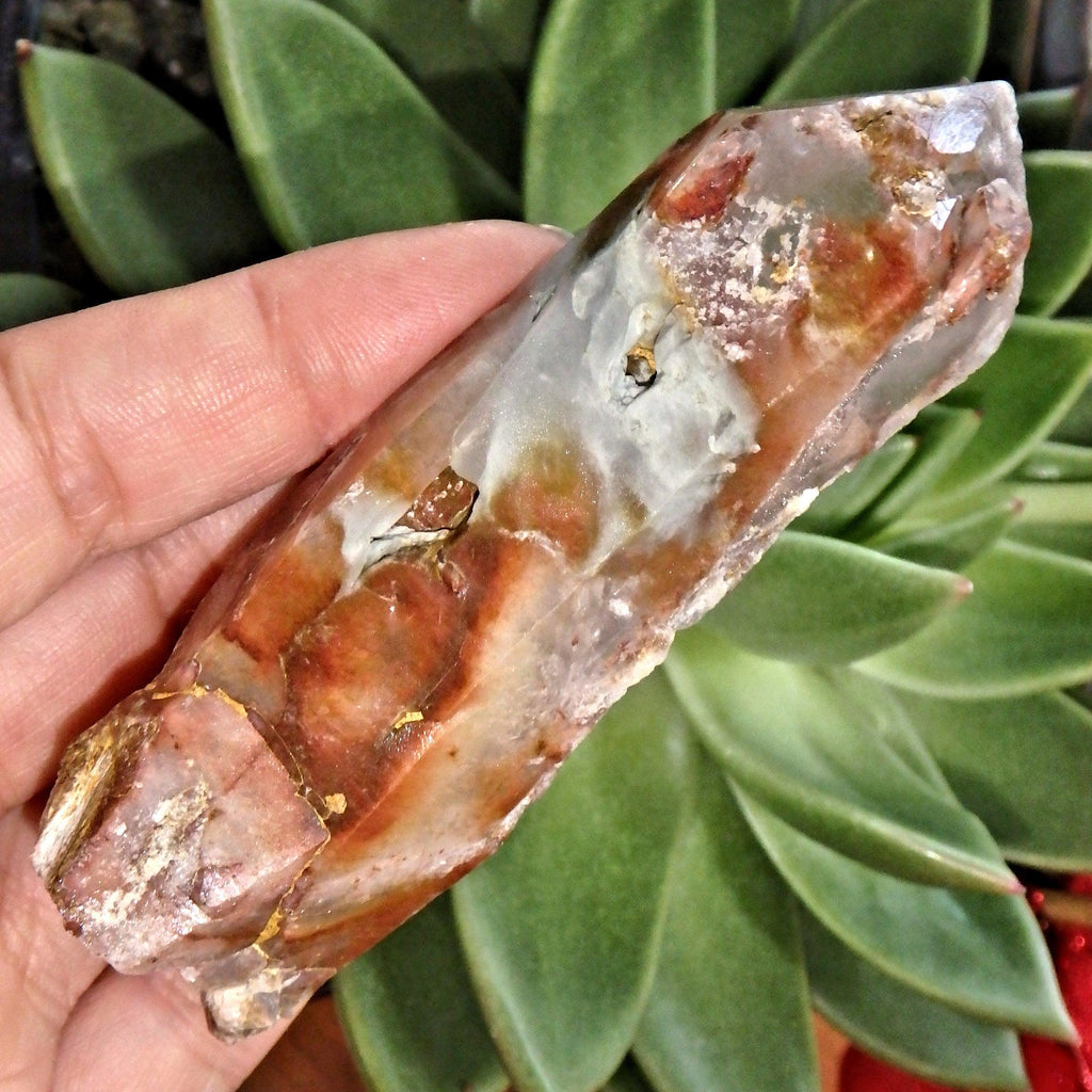 Natural Rusty Red Frosted Angel Phantom Quartz Point From Brazil - Earth Family Crystals