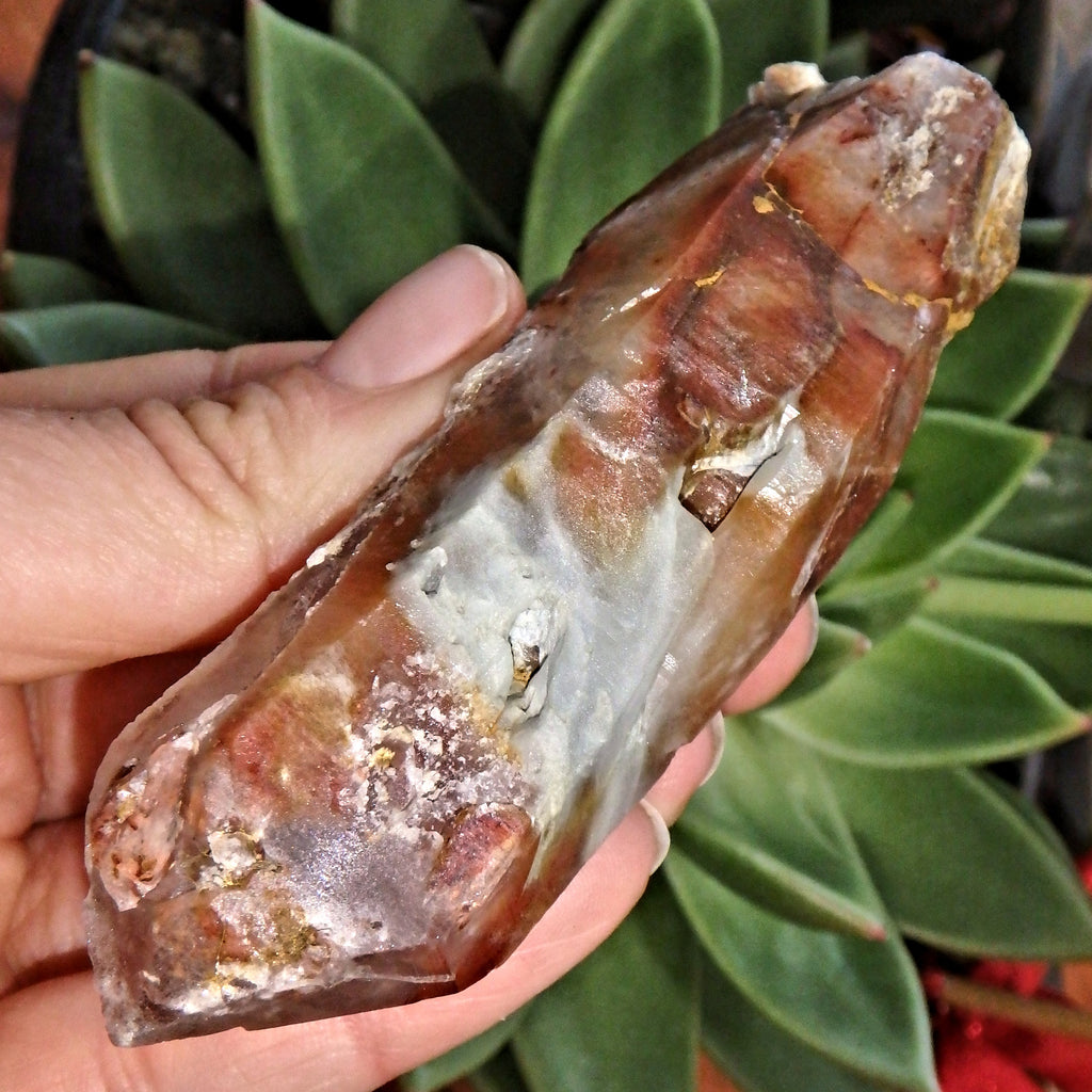 Natural Rusty Red Frosted Angel Phantom Quartz Point From Brazil - Earth Family Crystals