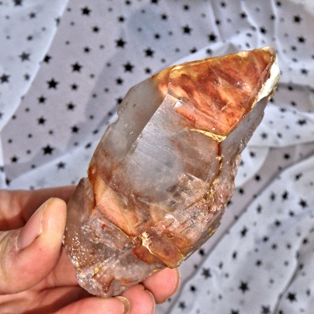 Stunning Color Contrast Angel Phantom Quartz Point From Brazil 8 - Earth Family Crystals