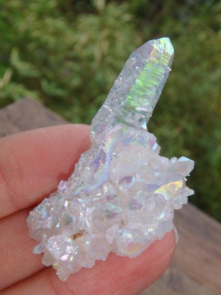 Pretty Points & Druzy Frosting Angel Aura Cluster - Earth Family Crystals