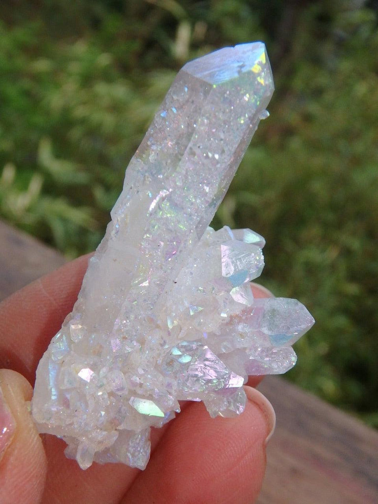 Pretty Points & Druzy Frosting Angel Aura Cluster - Earth Family Crystals