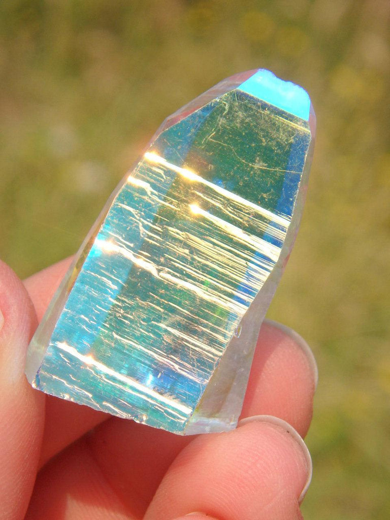 Opal Glow! Rare Colombian Lemurian Angel Aura Quartz Point 3 - Earth Family Crystals