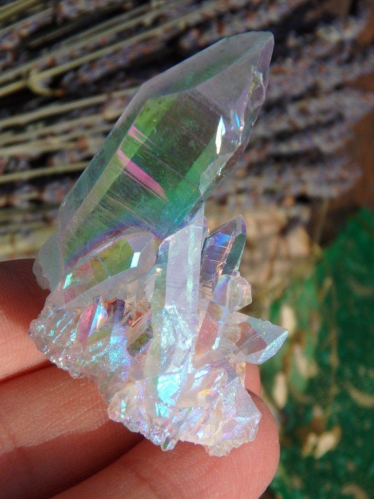 Angel Aura Quartz Cluster 2 - Earth Family Crystals