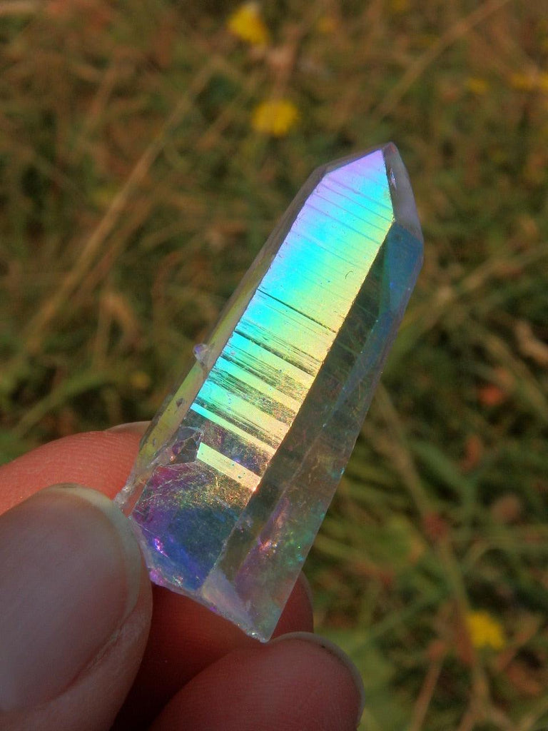 Opal Glow! Rare Colombian Lemurian Angel Aura Quartz Point 1 - Earth Family Crystals