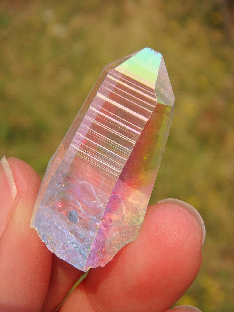 Opal Glow! Rare Colombian Lemurian Angel Aura Quartz Point 2 - Earth Family Crystals