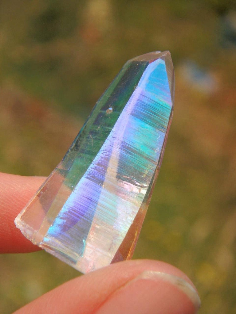 Opal Glow! Rare Colombian Lemurian Angel Aura Quartz Point 3 - Earth Family Crystals