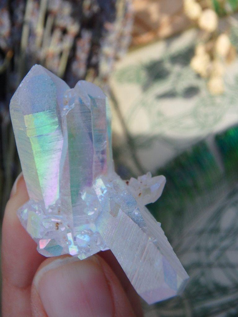 Angel Aura Quartz Cluster 10 - Earth Family Crystals
