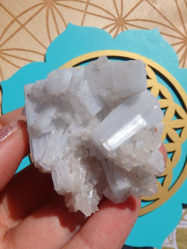 Light Blue Angel Wing Anhydrite Cluster With Quartz Druzy Frosting - Earth Family Crystals