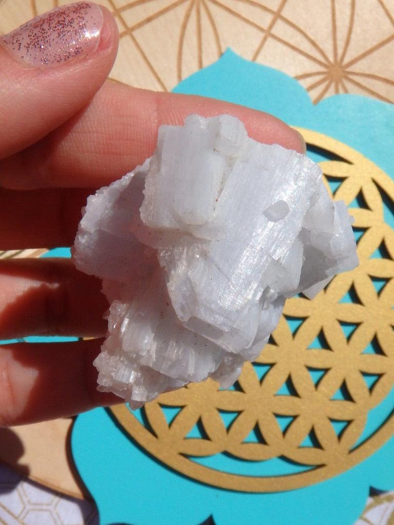 Light Blue Angel Wing Anhydrite Cluster With Quartz Druzy Frosting - Earth Family Crystals