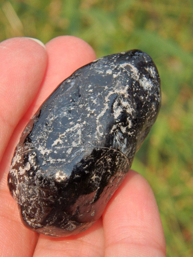 Arizona Apache Tear Hand Held Specimen - Earth Family Crystals