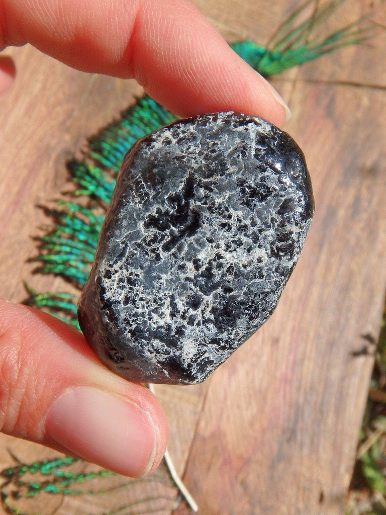 Apache Tear Hand Held Specimen from Arizona - Earth Family Crystals