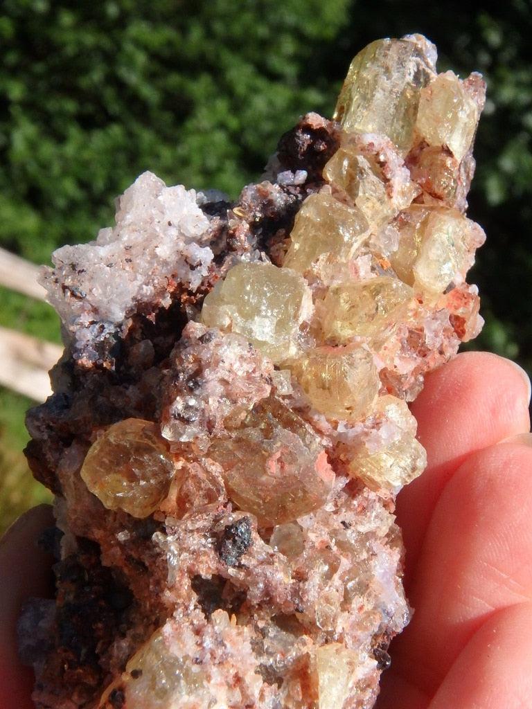 Sparkling Golden Apatite Nestled In Matrix - Earth Family Crystals