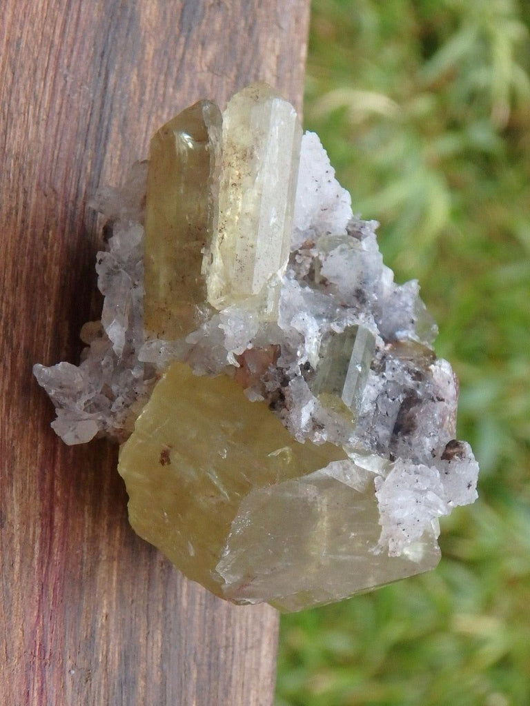 Gorgeous Golden Apatite Cluster With Large Points and Quartz - Earth Family Crystals