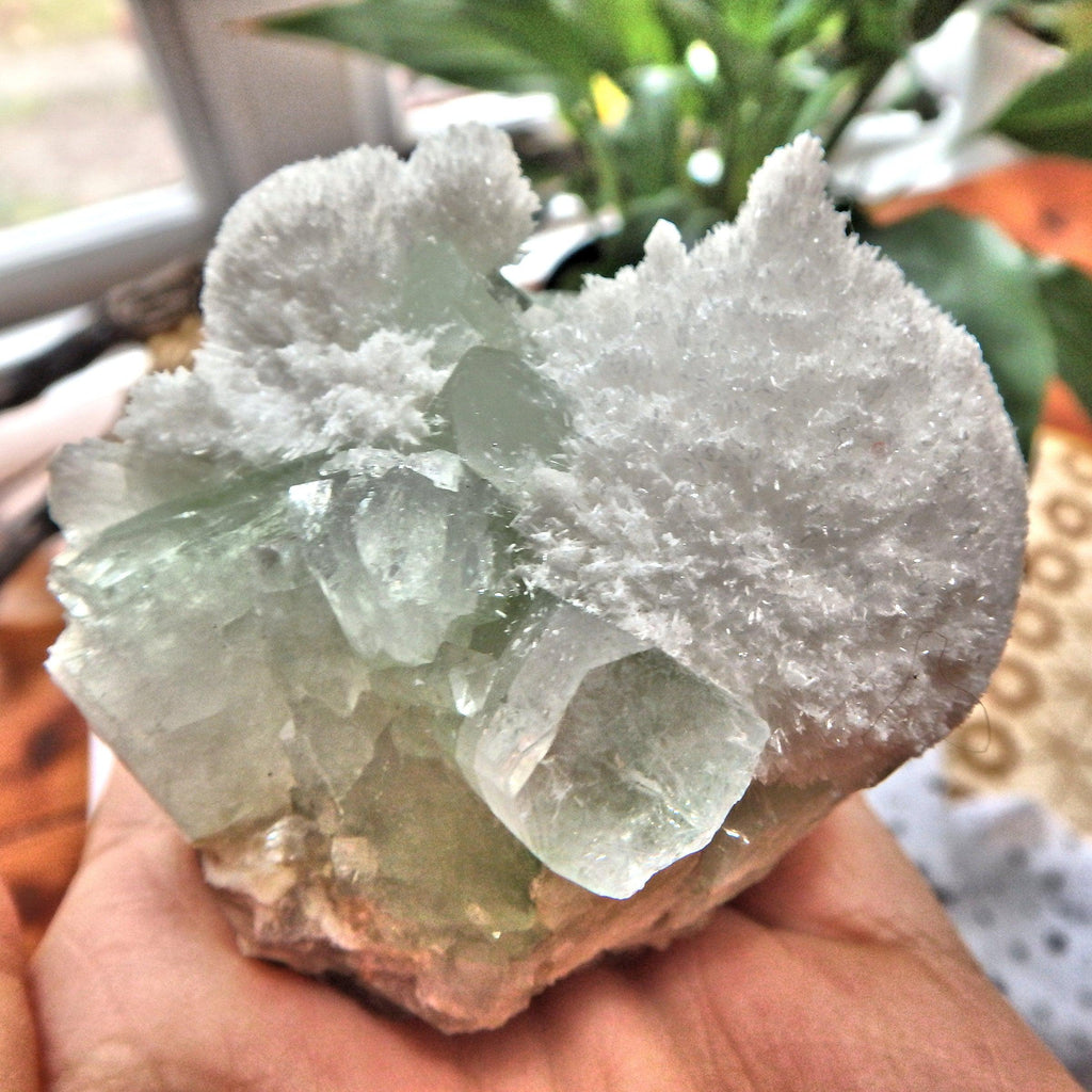 Rare Milky White Mordenite on Brilliant Green Apophyllite & Stilbite Matrix From India - Earth Family Crystals