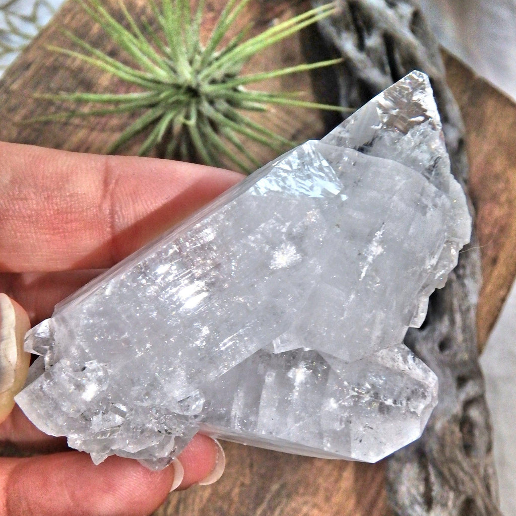 Shiny Clear Apophyllite Natural Cluster From India - Earth Family Crystals