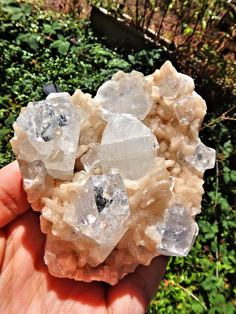 Large Chunky Clear Apophyllite Points Nestled in Peachy Pink stilbite Point Matrix - Earth Family Crystals