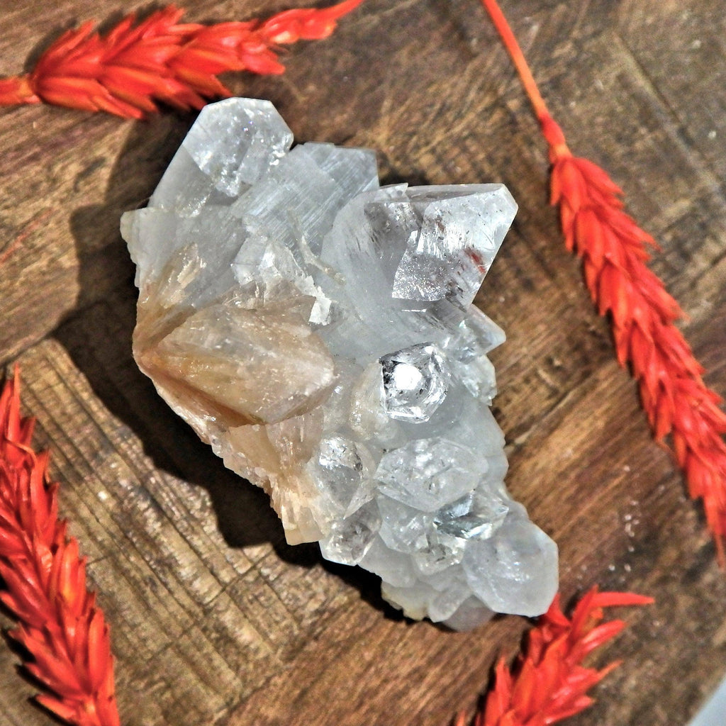High Brilliance Clear Apophyllite & Stilbite Cluster From India - Earth Family Crystals