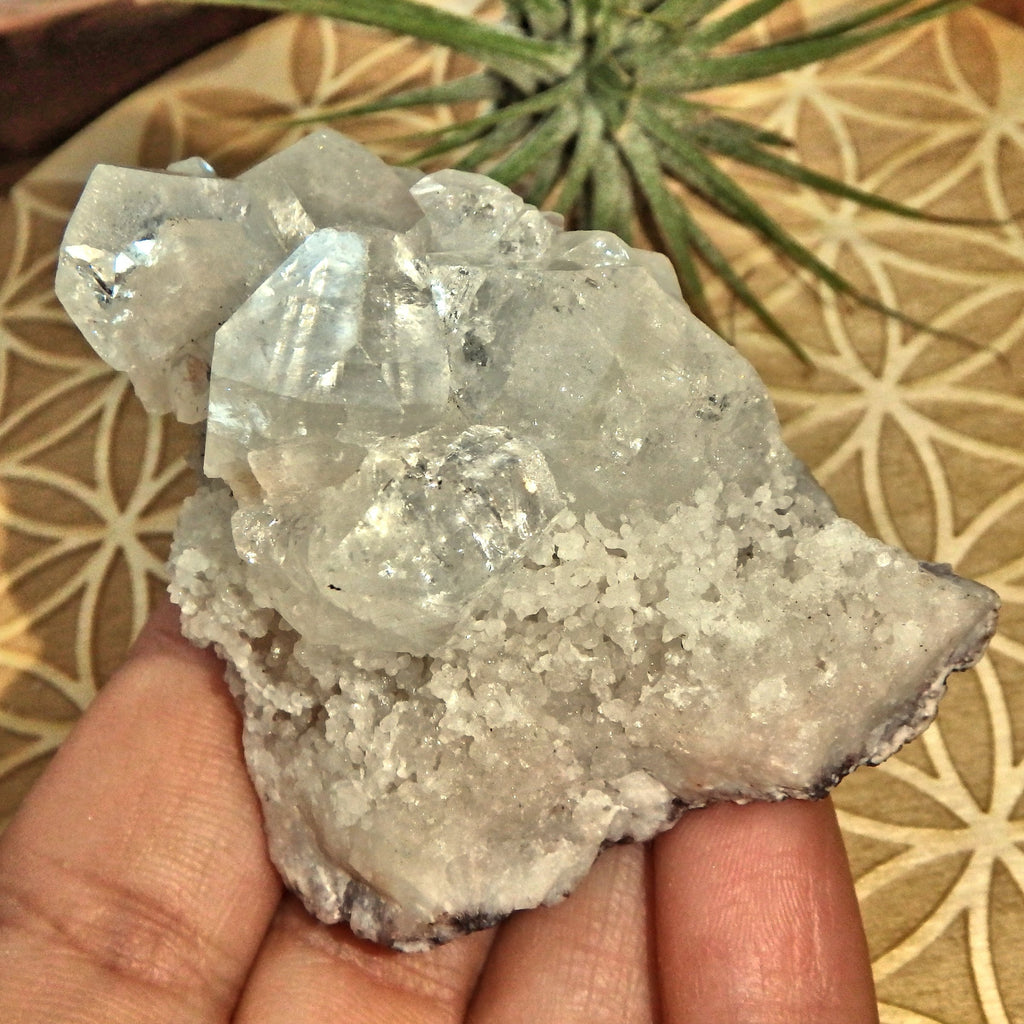 Angelic Clear Apophyllite Points Nestled on Matrix From India - Earth Family Crystals