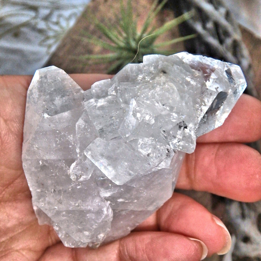 Shiny Clear Apophyllite Natural Cluster From India - Earth Family Crystals