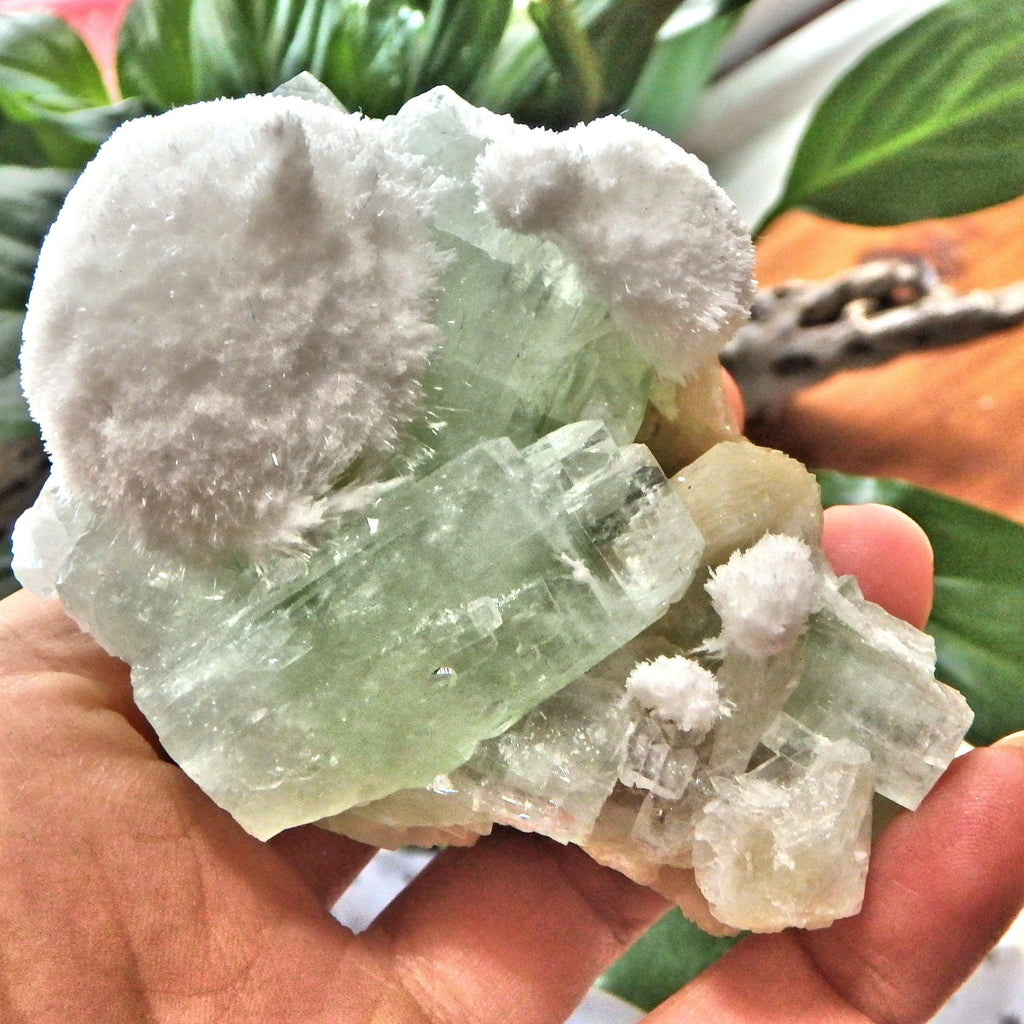 Rare Milky White Mordenite on Brilliant Green Apophyllite & Stilbite Matrix From India - Earth Family Crystals