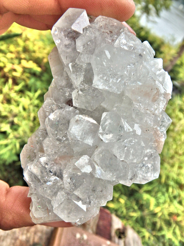 Glamorous Sparkle Clear Apophyllite High Vibe Cluster From India - Earth Family Crystals