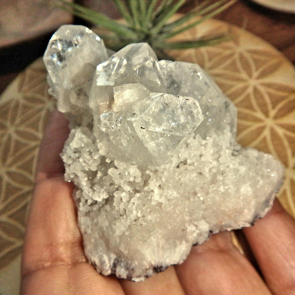 Angelic Clear Apophyllite Points Nestled on Matrix From India - Earth Family Crystals