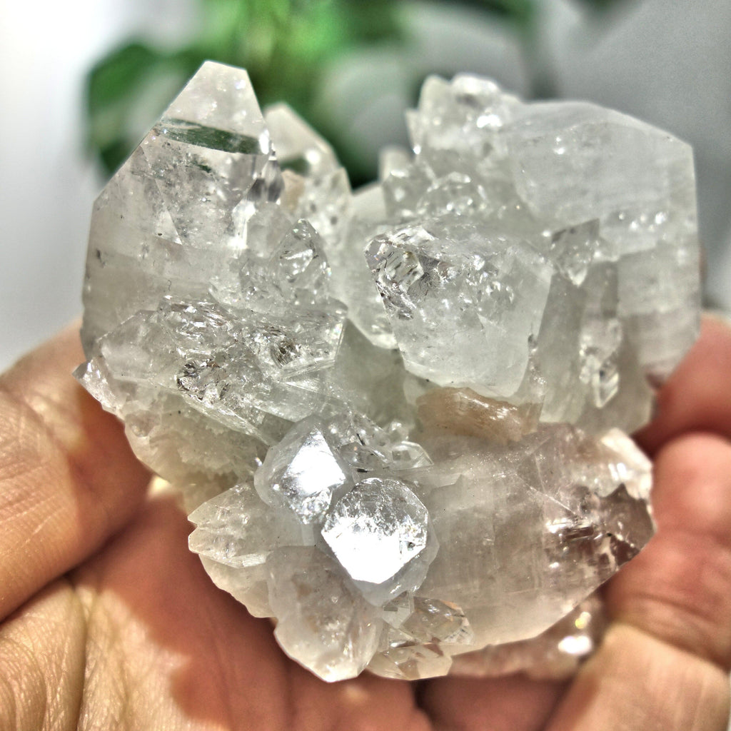 Gemmy Optical Apophyllite Cluster With Stilbite Inclusions From India - Earth Family Crystals