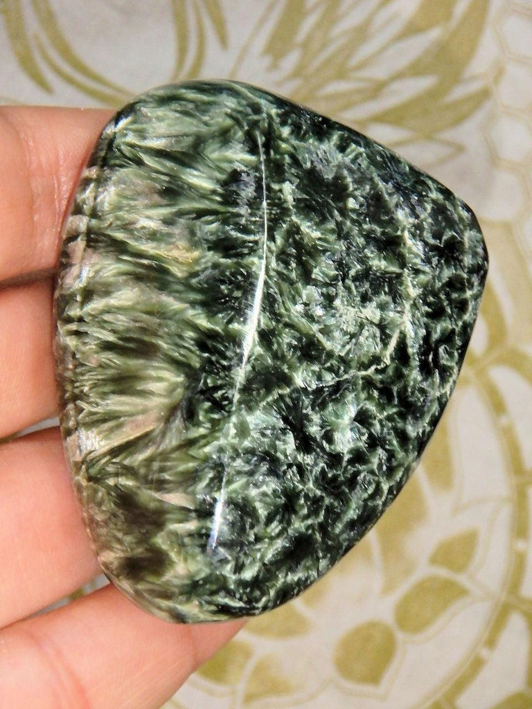 Multiple Angel Wings Forest Green Polished Seraphinite Specimen - Earth Family Crystals