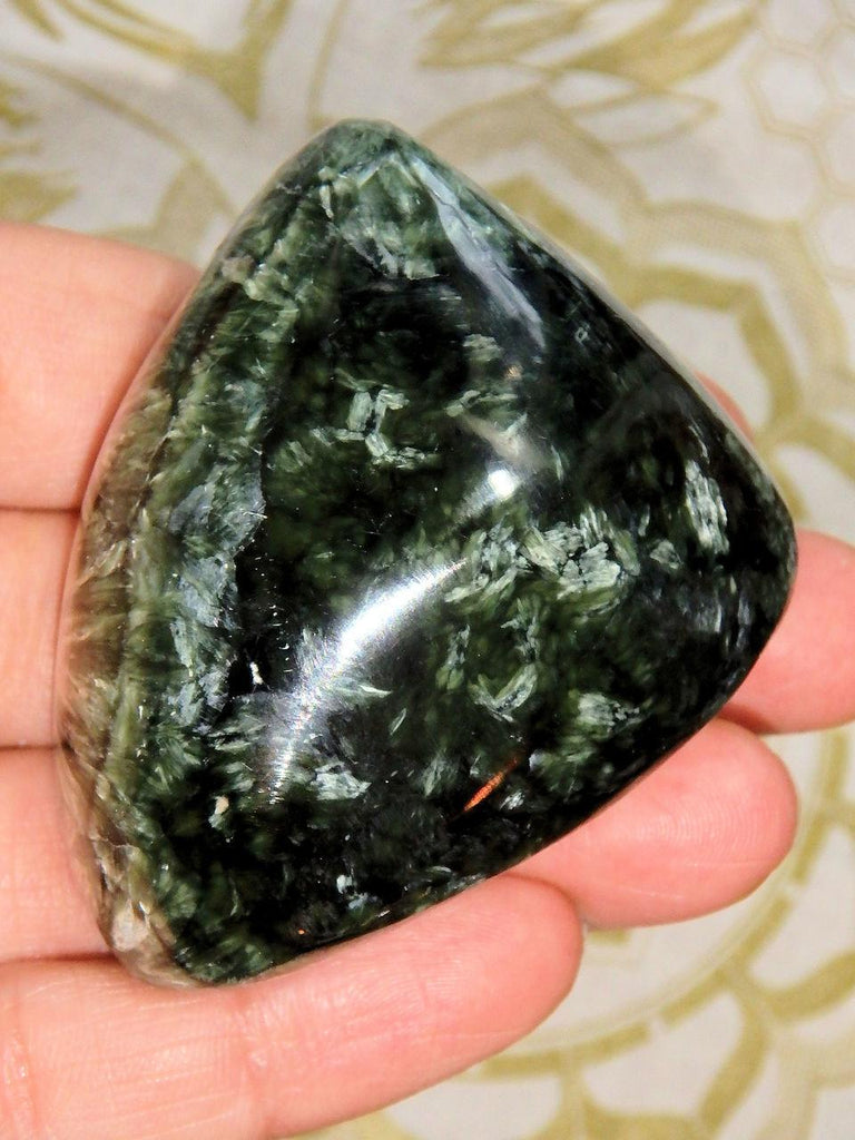 Multiple Angel Wings Forest Green Polished Seraphinite Specimen - Earth Family Crystals