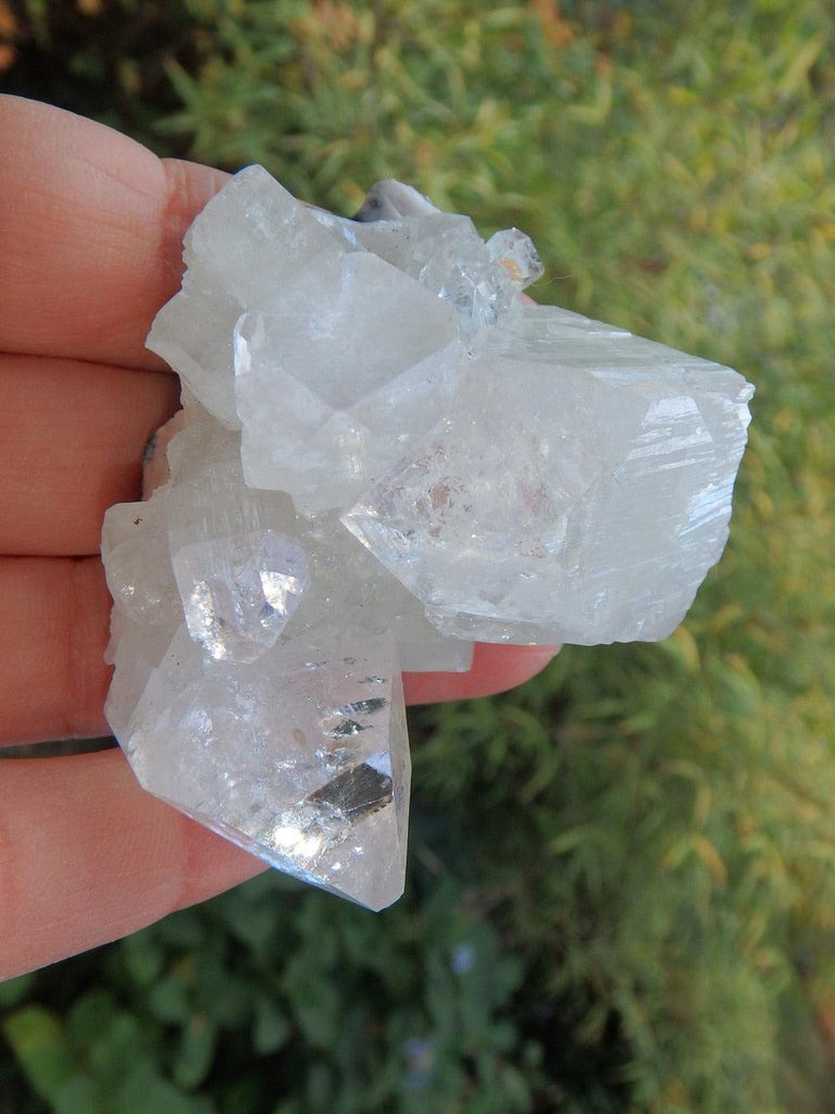 Pretty Sparkle White Apophyllite Cluster From India 8 - Earth Family Crystals