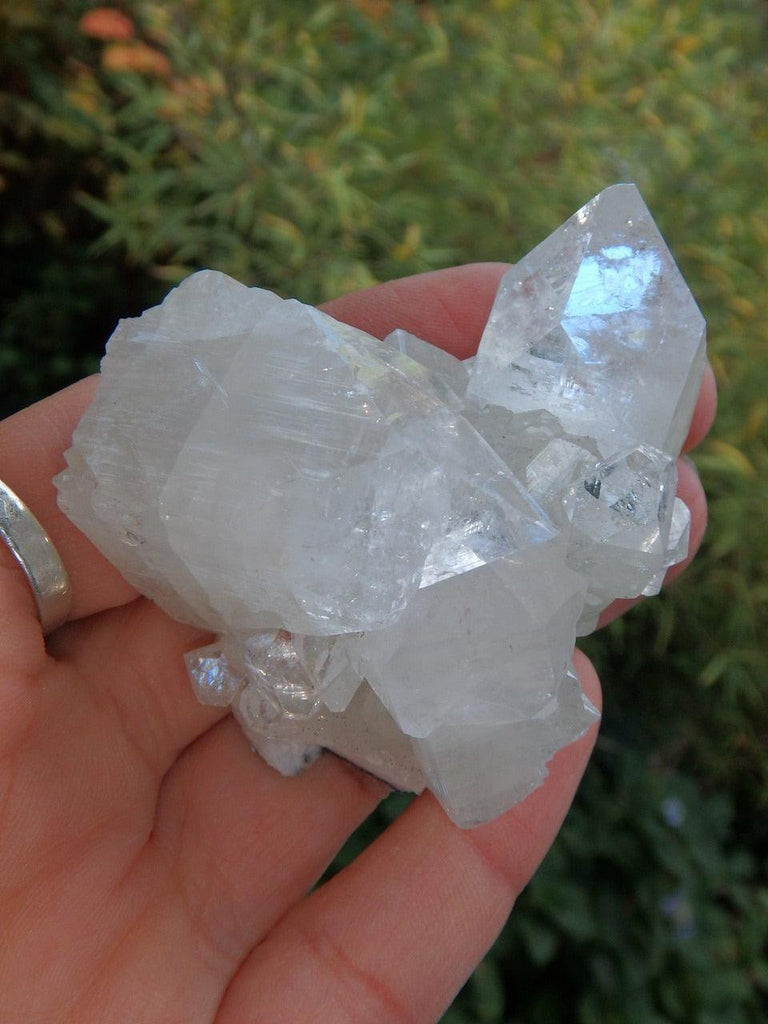 Pretty Sparkle White Apophyllite Cluster From India 8 - Earth Family Crystals