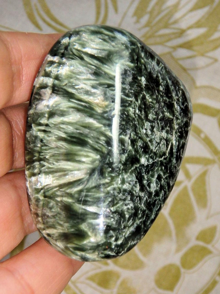 Multiple Angel Wings Forest Green Polished Seraphinite Specimen - Earth Family Crystals