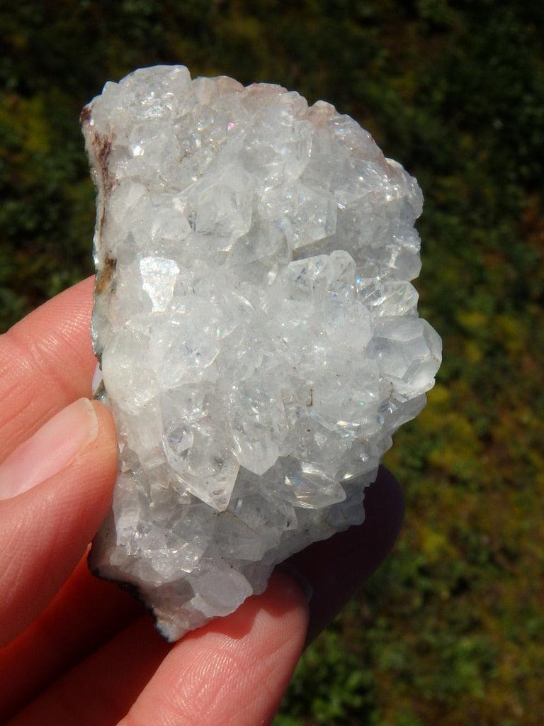 High Vibration Clear Apophyllite Cluster - Earth Family Crystals