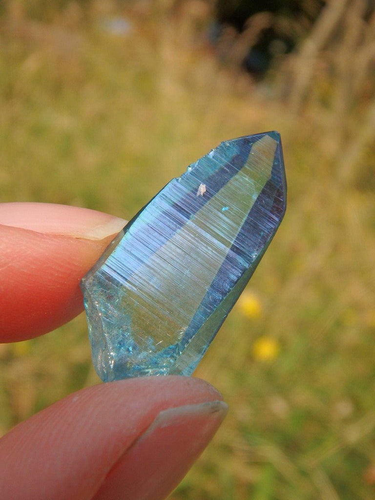 Brilliant & Rare Colombian Lemurian Aqua Aura Quartz Point 1 - Earth Family Crystals
