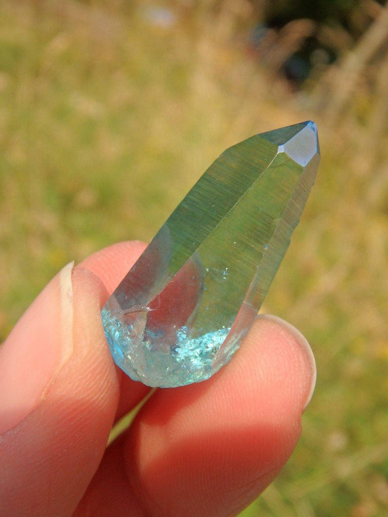 Brilliant & Rare Colombian Lemurian Aqua Aura Quartz Point 1 - Earth Family Crystals