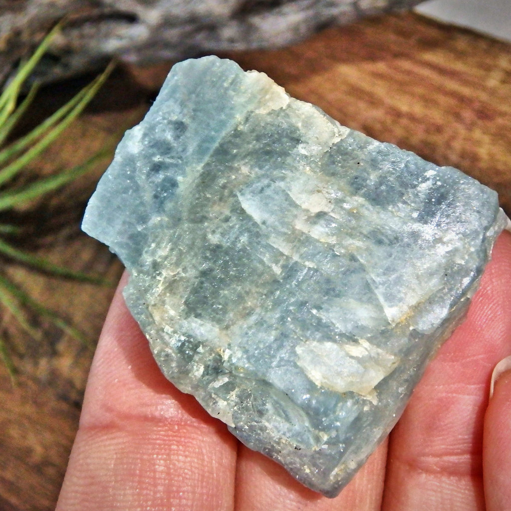 Gemmy Frosted Blue Aquamarine Natural Chunk From India - Earth Family Crystals